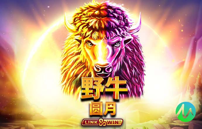 hlwbet官网登录入口